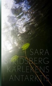 Sara Stridsberg: Kärlekens Antarktis 