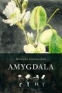 Kerosha Gonaseelan: Amygdala