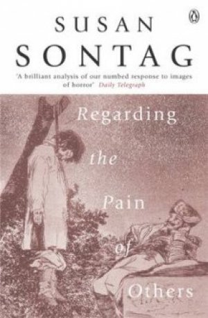 Susan Sontag: Regarding the pain of others
