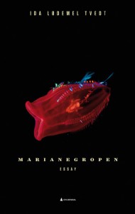 Ida Lødemel Tvedt: Marianegropen