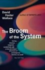 David Foster Wallace: The Broom of the System