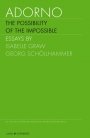 Nicolaus Schafhausen (red.), Michael Hirsch (red.), Vanessa Joan Müller (red.): Adorno: The Possibility of the Impossible (Vol. II)