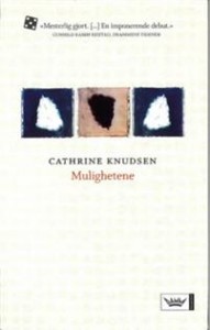 Cathrine Knudsen: Mulighetene