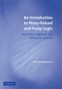Merrie Bergmann: An Introduction to Many-Valued and Fuzzy Logic: Semantics, Algebras, and Derivation Systems