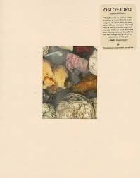 Jessica Williams: Oslofjord