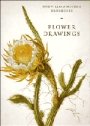 David Scrase: Flower Drawings
