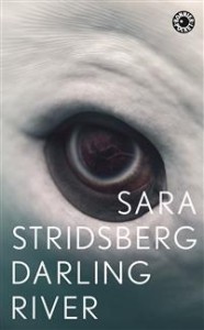 Sara Stridsberg: Darling River