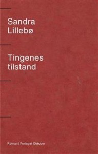 Sandra Lillebø: Tingenes tilstand