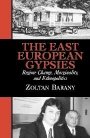 Zoltan Barany: The East European Gypsies: Regime Change, Marginality, and Ethnopolitics