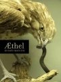 Donato Mancini: Æthel