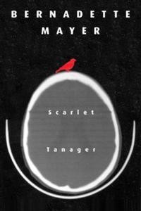 Bernadette Mayer: Scarlett Tanager