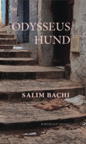 Salim Bachi: Odysseus hund