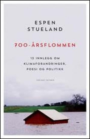 Espen Stueland: 700-årsflommen: 13 innlegg om klimaendringer, poesi og politikk
