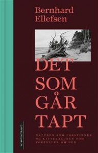 Bernhard Ellefsen: Det som går tapt