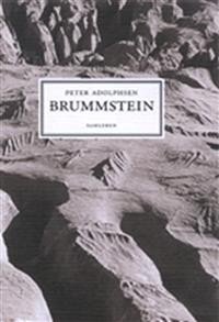Peter Adolphsen: Brummstein