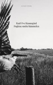 Karl Ove Knausgård: Fuglene under himmelen