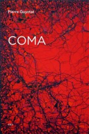 Pierre Guyotat: Coma