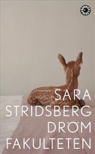 Sara Stridsberg: Drömfakulteten: tillägg till sexualteorin